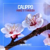 Calippo - Make It Through (Original Mix)