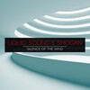 Liquid Sound、Shogan - Ancient Voices (Original Mix)