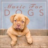 Dog Music Therapy、Dog Music Dreams、Relaxmydog《Feeling Mellow》[MP3/LRC]