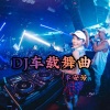李安芳 - DJ 我最强 (舒情版)