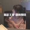 精彩王波 - 先生 再见 (DJ版)