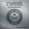 Pulsatorz、Arterial - Flashback (Original Mix)