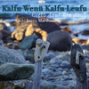 Anahi Rayen Mariluan、Leopoldo Caracoche - Kalfu Wenü Kalfu Leufu (Cielo Azul Río Azul)