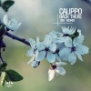 Calippo - Back There (EDX's Dubai Skyline Remix)