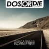Big T、Gerald G! - Born Free (Radio Edit)