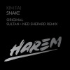 kim fai《Snake (Original Mix)》[MP3/LRC]