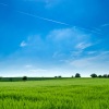 Echoes Of Nature、Musica Relaxante、Relaxation Music Guru - Sleep in the Stars