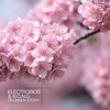 Electrobios、B.O.N.G. - It's Getting Funky (Original Mix)
