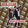 Die Junx《Wenn du kommst (Radio-Edit)》[MP3/LRC]