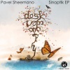 Pavel Sheemano - Sinoptik (Original Mix)
