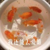 東風Music - 我还能去爱谁 (Remix)