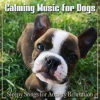 Dog Music Therapy、Dog Music Dreams、Relaxmydog《Paws for Thought》[MP3/LRC]