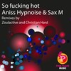 aniss hypnoise、Sax M - So ****ing Hot (Original Mix)