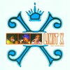 Limit X - No Limit