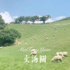 柒妹 - 卖汤圆 (Remix)