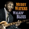 Muddy Waters、Sunnyland Slim、Larry Mud Morganfield、Big Crawford《Gypsy Woman》[MP3/LRC]