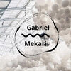Gabriel Mekari - Track 41