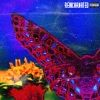 Karra、Reed - Fall 4 U (Explicit)