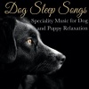 Dog Music Therapy、Dog Music Dreams、Relaxmydog《Sunny beach Walk》[MP3/LRC]