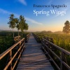 Francesco Spagnolo、Piano Music DEA Channel、Romantic Piano Music Academy - Spring Wings
