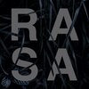 Rasa - Valosta Raskas Kivi