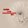 雪薇吖 - 风水阴阳十六字