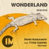 Denis Naidanow、Tyree Cooper - Wonderland (2015 Remix)