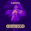 Enjambre《Divergencia》[MP3/LRC]