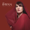 SWAN - Compte à rebours