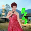伊人家乡 - 梦里山乡