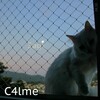 Sagi - Calming