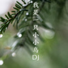 林金煌 - 冰河时代 (DJ版)