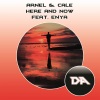 ARNEL、Cale - Here and Now