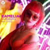 Kamelia、Doddy - Cuidado (Extended)