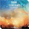 DJ Buk《Tonight (Original Mix)》[MP3/LRC]