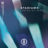 StadiumX《Losing My Mind》[MP3/LRC]