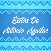 Antonio Aguilar《Albur de Amor》[MP3/LRC]