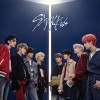 Stray Kids - TOP