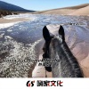 阿光 - EA7劳动人民最光荣