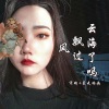 宋烨靓 - 风飘过云海了吗