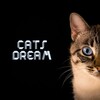 Cat Music、Music For Cats、Cats Music Zone - Continual Energy