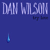 Dan Wilson - Try Love