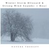 Nature Therapy - Winter Storm Blizzard & Strong Wind Sounds: One Hour
