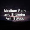 Meditation Spa、Spa & Spa、Serenity Spa Music Relaxation - Soft Rain and Thunder Storm Relaxing and Loopable for a 10 Hours Sleep