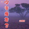 武琳赛 - 你还是走了
