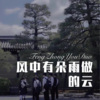 DJ六大大 - 风中有朵雨做的云 (Remix)