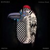 Kephas - Endless Road