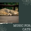 Music For Cats - Peaceful Mood