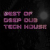 Patrick Lindsey - Prof. Fee 2009 (Dub Taylor D. Mark Remix)