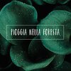 Per Dormire di TraxLab - Pioggia nella Foresta, Pt. 01